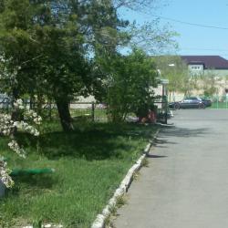 Фото Отель Ромашка