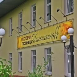 Фото Отель Пшеничникофф