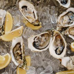 Фото Отель ДухЛес