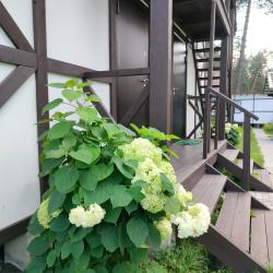 Фото Отель Панорама Алтай