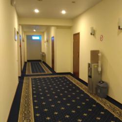 Фото Отель Метрополис