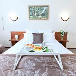 2-комнатный номер люкс с 1 двуспальной кроватью