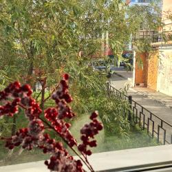 Фото Отель Мириады на улице Интернациональная