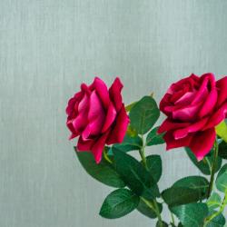 Фото Апартаменты на улице Университетская 35