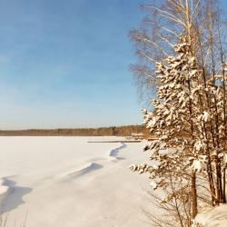 Фото Отель Загородный клуб Лесная сказка