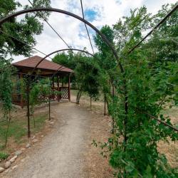 Фото Отель Лесная нимфа