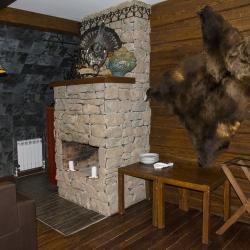 Фото Отель Лесная Сказка