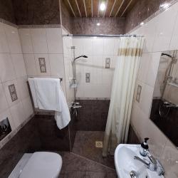 Фото Отель Лесная жемчужина