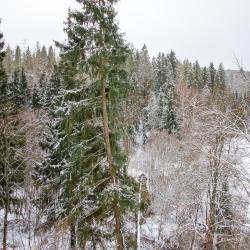 Фото Отель Марс Хауc