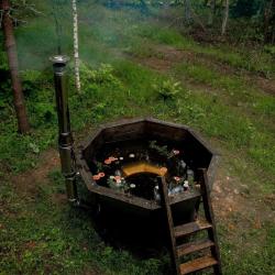 Фото Отель Lesavushka (Лесавушка)