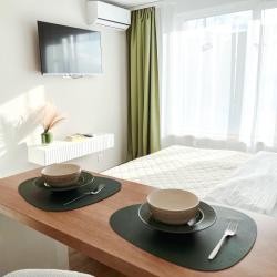 1-комнатные апартаменты студия №1