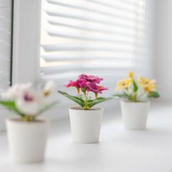 Фото Отель Ka Home (Ка Хоум) на бульваре Ивана Финютина 14