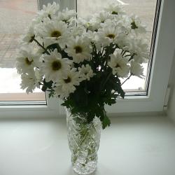 Фото Отель Фаворит