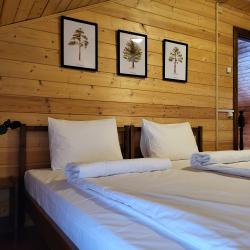 2-комнатный коттедж премиум с 3 односпальными и 1 двуспальной кроватью (мансарда)