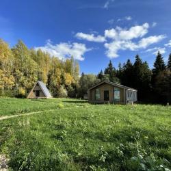 Фото Отель Pine Forest (Пайн Форест)