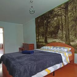 Фото Отель Rusdom Sweet Apartments (Русдом Свит) на улице Карла Маркса 45
