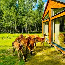 Фото Отель Домики Бэмби Ленд