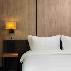 Фото Отель Pyramids Resorts Charvak (Пирамидс Резорт )