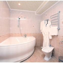 Фото Отель Орион