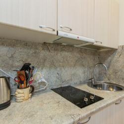 Апартаменты студия с диваном №1