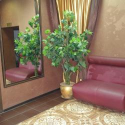 Фото Отель Тополя