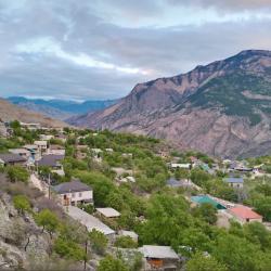 Фото Отель Родное гнездо