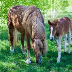 Фото Отель Малиновая слобода