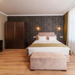 Номер делюкс с 1 двуспальной кроватью и террасой