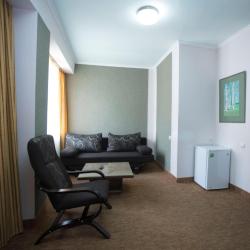 Фото Отель Tsaghkahovit Hotel (Цахкаовит)