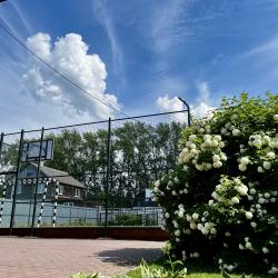 Фото Отель Леис