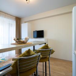 Апартаменты студия с диваном №2