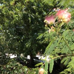 Фото Отель Город-Ок!