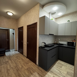 2-комнатные апартаменты стандарт город Омск, улица Масленикова, дом 82 (2-к квартира 55 кв.м)