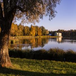 Фото Отель Golden Hotel (Голден)