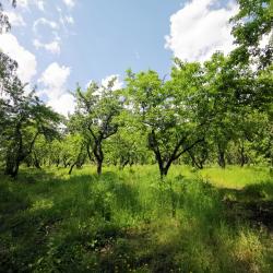 Фото Отель Усадьба