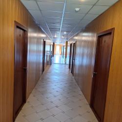 Фото Отель Лесная жемчужина