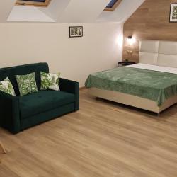 1-комнатные апартаменты стандарт (мансарда)