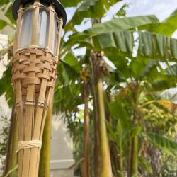Фото Отель Little Palm (Литл Палм)