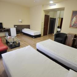 Фото Отель Yerevan Deluxe ( Делюкс)