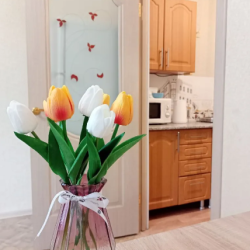 Фото Апартаменты на улице Татищева 17А