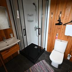 Фото Отель Снежные Гуси