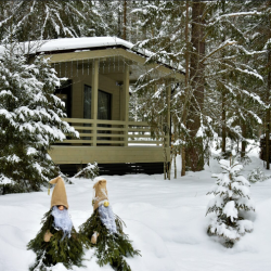 Фото Отель Сосновый бор