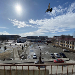 1-комнатные апартаменты студия