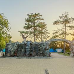 Фото Отель Пляжный поселок
