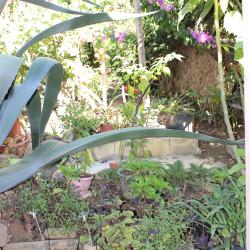 Фото Отель Эдем