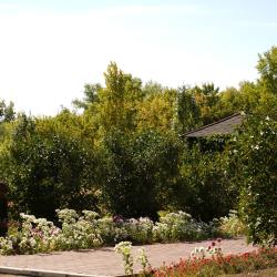 Фото Отель Санаторий Евромед