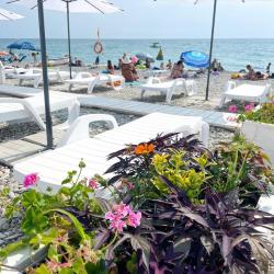 Фото Отель Ola resort (Ола резорт)