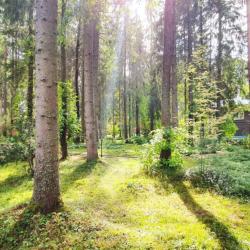Фото Отель WISH HOTEL Seliger (Виш Селигер)