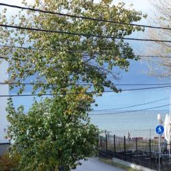 Фото Отель Villa History (Вилла Хистори)