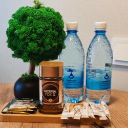 2-комнатные апартаменты улучшенные 33-3